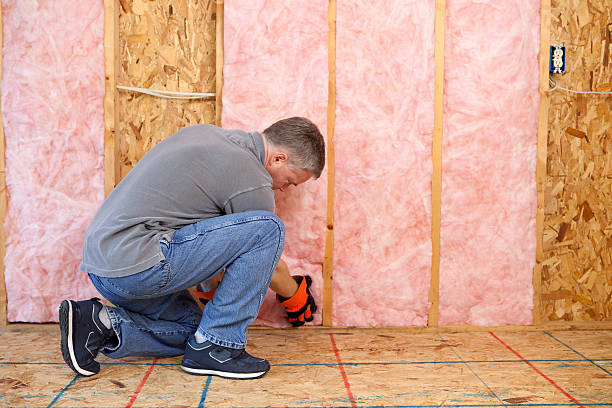 Best Energy Efficiency Insulation in Pelican Marsh, FL